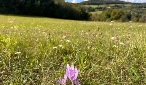 Sale Agrarian and forest land, Agrarian and forest land, Banská Bystri
