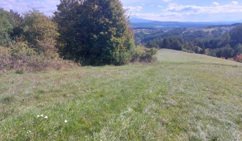 Sale Agrarian and forest land, Agrarian and forest land, Banská Bystri