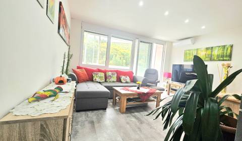 Rent One bedroom apartment, One bedroom apartment, Štvrť SNP, Trenčín,