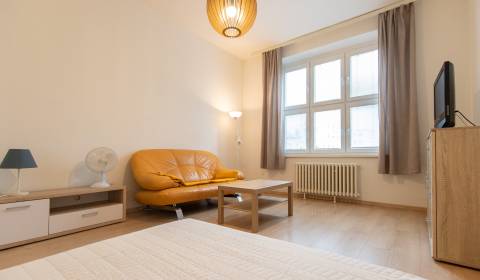 Cozy 1-Room Flat after Renovation in Old Town