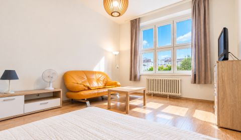 Cozy 1-Room Flat after Renovation in Old Town