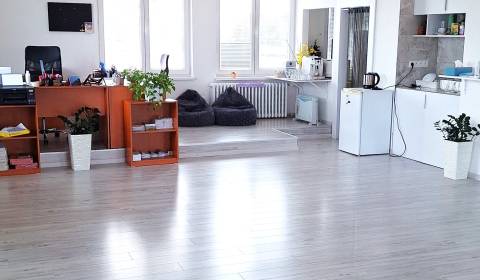 Offices in the centre of Žilina