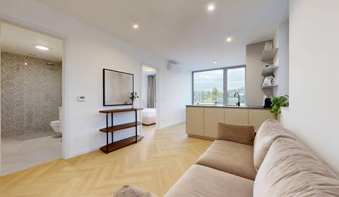 Rent One bedroom apartment, One bedroom apartment, Gaštanova, Bratisla