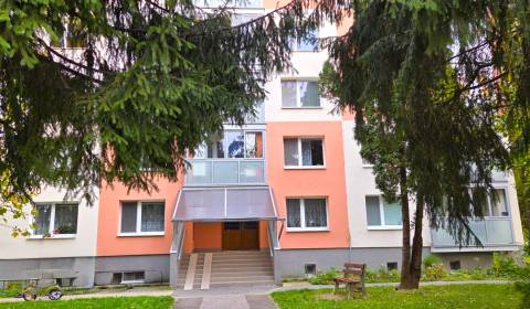 Sale Two bedroom apartment, Two bedroom apartment, Trenčianska, Ilava,
