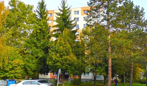 Sale Two bedroom apartment, Two bedroom apartment, Trenčianska, Ilava,