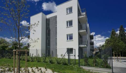 Searching for One bedroom apartment, One bedroom apartment, Pezinok, S