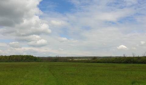 Sale Agrarian and forest land, Agrarian and forest land, Pezinok, Slov
