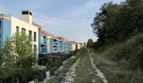 Sale Land – for living, Land – for living, Frankovská, Bratislava - No