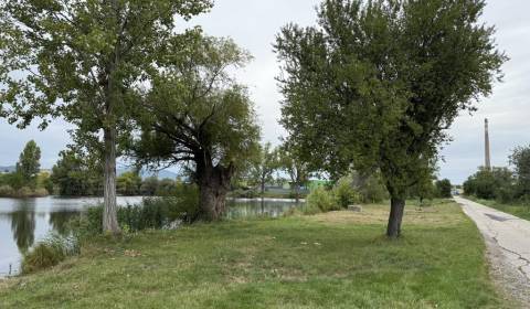 Sale Agrarian and forest land, Agrarian and forest land, Pezinok, Slov