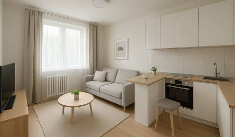 Sale Single studio, Single studio, Žilina, Slovakia