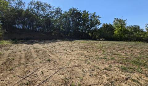 Sale Land – for living, Land – for living, Melek, Nitra, Slovakia