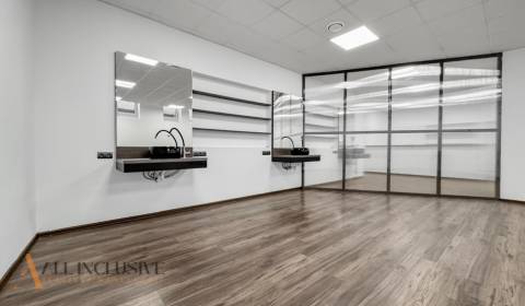 Rent Commercial premises, Commercial premises, Škultétyho, Topoľčany, 