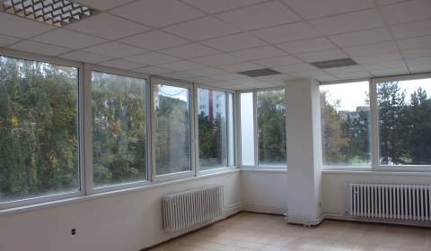 Rent Commercial premises, Commercial premises, Centrum, Považská Bystr