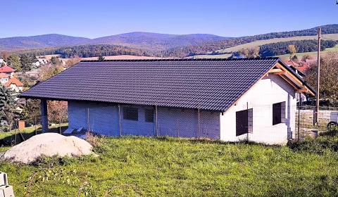 Sale Family house, Family house, Partizánske, Slovakia