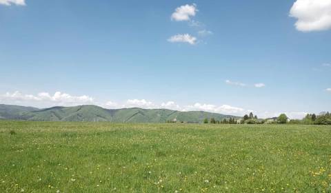 Sale Agrarian and forest land, Agrarian and forest land, Žilina, Slova