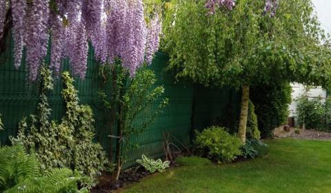 Sale Family house, Family house, Brusnicová, Senec, Slovakia