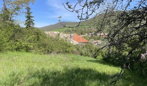 Sale Agrarian and forest land, Agrarian and forest land, Rožňava, Slov