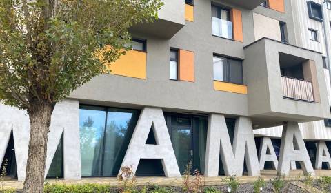 Rent Two bedroom apartment, Two bedroom apartment, Nejedlého, Bratisla