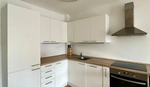 Rent One bedroom apartment, One bedroom apartment, Muchovo nám., Brati