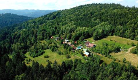 Sale Agrarian and forest land, Agrarian and forest land, Čadca, Slovak