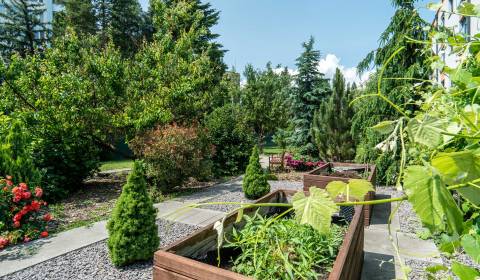 Sale Family house, Family house, Janka Matúšku, Bánovce nad Bebravou, 