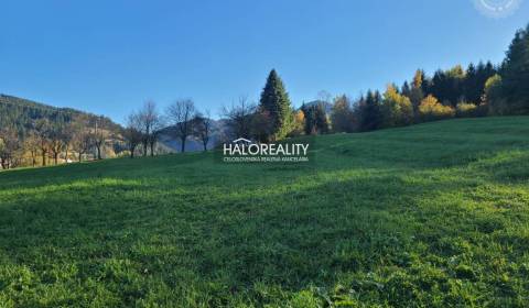 Sale Land – for living, Žilina, Slovakia