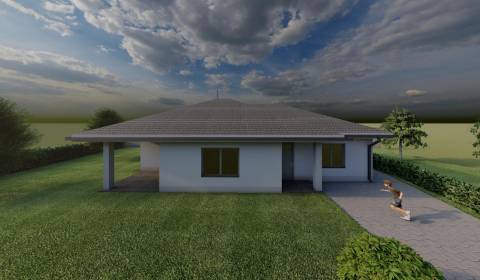 Sale Family house, Family house, Dunajská Streda, Slovakia