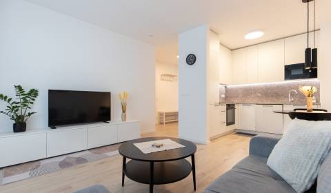 Above standard 2-Room Apartment, Ovocné Sady