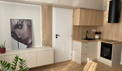 Sale One bedroom apartment, One bedroom apartment, Jána Stanislava, Br