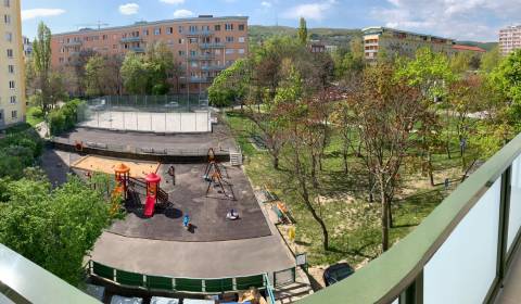 Searching for One bedroom apartment, One bedroom apartment, Bratislava