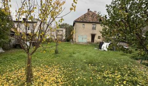 Sale Family house, Family house, Družstevná, Veľký Krtíš, Slovakia
