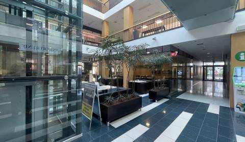 Rent Commercial premises, Commercial premises, Sídlisko Jas, Galanta, 