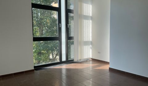 Rent Commercial premises, Commercial premises, Sídlisko Jas, Galanta, 