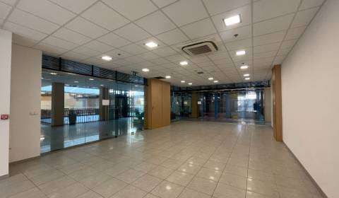 Rent Commercial premises, Commercial premises, Sídlisko Jas, Galanta, 