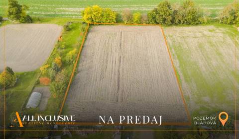 Sale Land – for living, Land – for living, Dunajská Streda, Slovakia