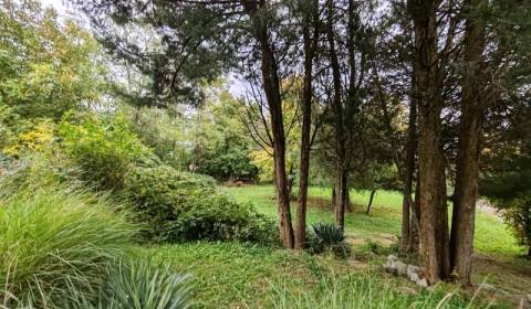 Sale Land – for living, Land – for living, Hlavná, Michalovce, Slovaki