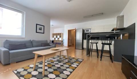 Rent One bedroom apartment, One bedroom apartment, Na Zlatej nohe, Bra