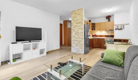 Pretty pleasant, spacious 1bdr apt 55m2, balcony, parking, VINOHRADIS