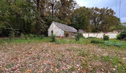 Sale Family house, Family house, Komárno, Slovakia