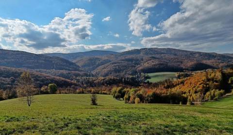 Sale Agrarian and forest land, Agrarian and forest land, Trenčín, Slov