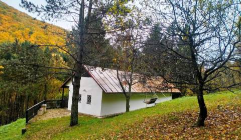 Sale Cottage, Cottage, Trenčín, Slovakia