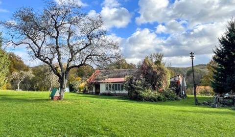 Sale Family house, Family house, Žarnovica, Slovakia