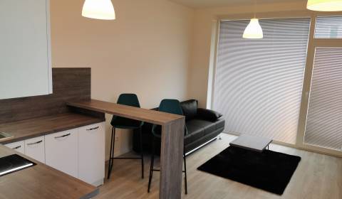 Sale Studio, Studio, Slávičia, Senec, Slovakia