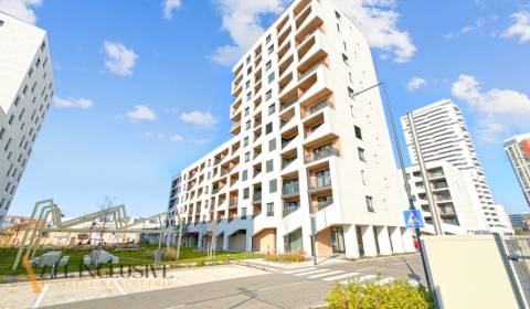 Rent One bedroom apartment, One bedroom apartment, Ulica Závodu Matado