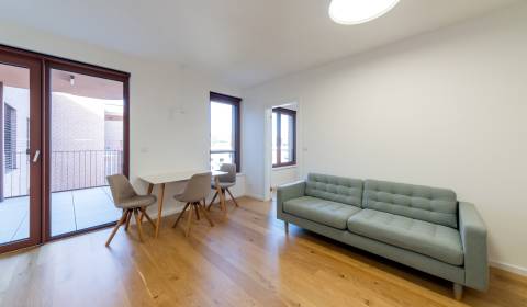 Beautiful, modern 1bdr apt 46 m2,balcony and parking, cellar, ZWIRN