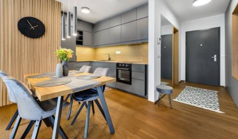 Rent One bedroom apartment, One bedroom apartment, Jeséniova, Bratisla