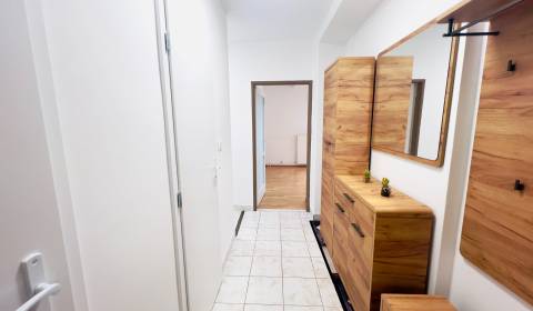 Rent One bedroom apartment, One bedroom apartment, Štvrť SNP, Trenčín,