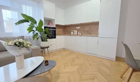 Rent One bedroom apartment, One bedroom apartment, Špitálska, Bratisla