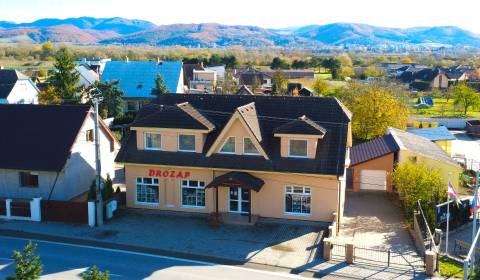 Sale Family house, Family house, Ilava, Slovakia