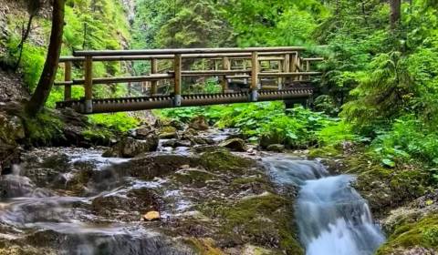 Sale Land – for living, Land – for living, Michalovce, Slovakia